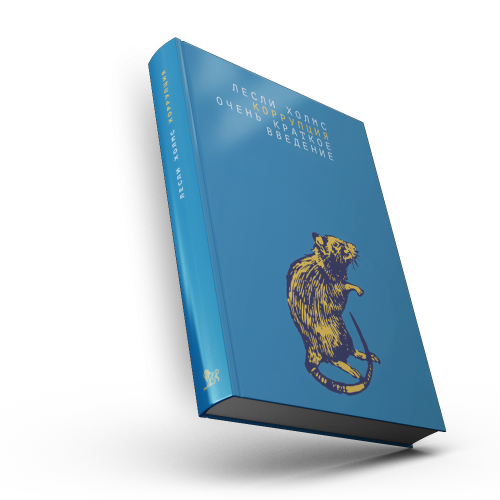 Коррупция : очень краткое введение