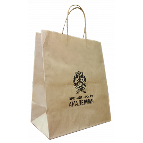 Бумажный пакет (32,5х24х11 см)