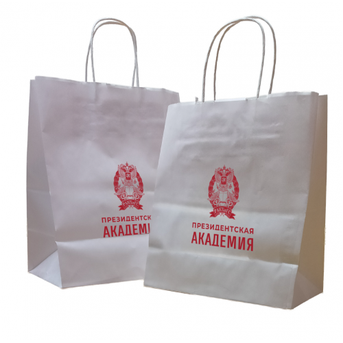 Бумажный пакет (28х24х14 см)